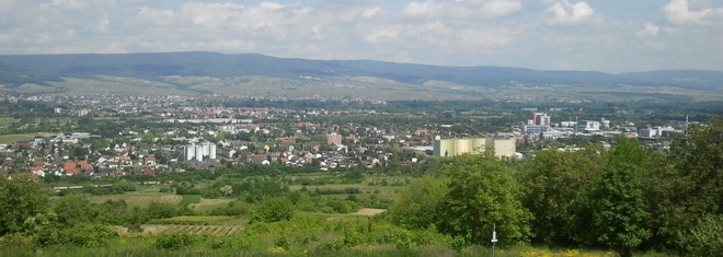 Hier finden Sie den passenden Anwalt für Mietrecht in Ingelheim am Rhein!