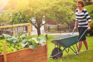 Das Bundeskleingartengesetz bildet die rechtliche Grundlagen für die Nutzung von Kleingärten.