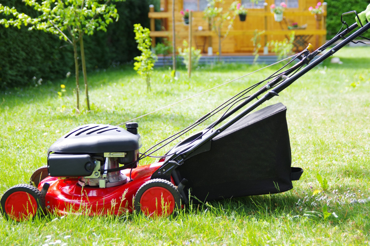 Bundeskleingartengesetz: Durch eine Gartenbegehung werden Pflegezustand und Wert festgestellt.