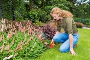 Können Sie einen Garten mieten oder pachten? Das hängt von der Art des Gartens ab.