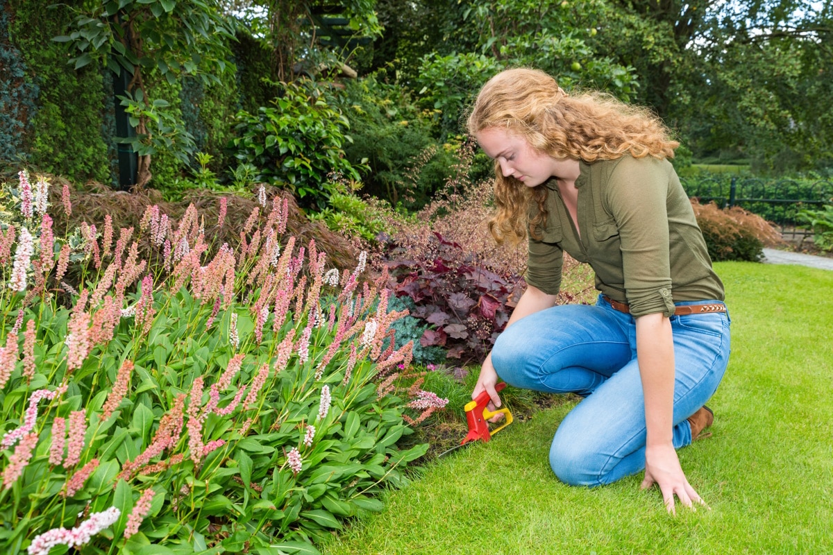 Schrebergarten zur Miete Was ist im BKleingG geregelt?