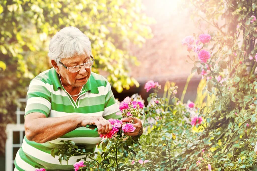Garten pachten Optionen, wichtige und Kosten