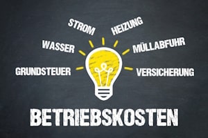 Wollen Vermieter die Grundsteuer an den Mieter weitergeben, ist die Art der Nutzung der Mietsache von Bedeutung.