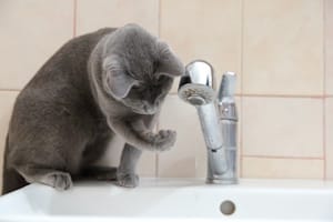 Was sind Kleinreparaturen für Mieter: Beispiele sind in der Berechnungsverordnung benannt.