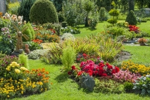 Mietminderung wenn der Garten nicht mehr nutzbar ist? Erfahren Sie hier, wie vorzugehen ist.