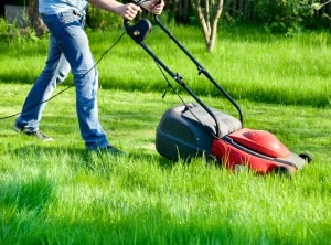 Zu den umlegebaren Nebenkosten zählt auch die Gartenpflege. 