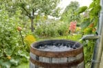 Garten pachten Optionen, wichtige und Kosten