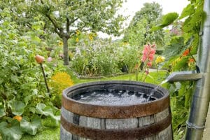 Im Pachtvertrag für einen Schrebergarten sollten alle Pflichten und Recht festgehalten sein. 