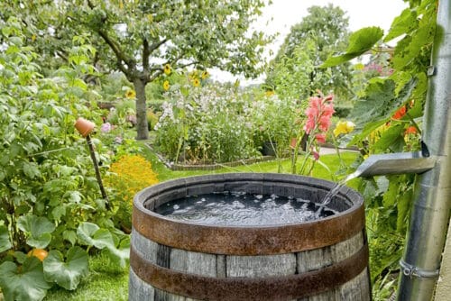 Garten pachten Optionen, wichtige und Kosten