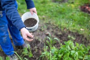 Einen Schrebergarten zu pachten ist mit Kosten verbunden.