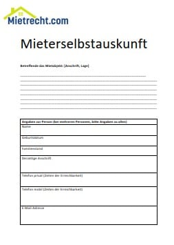 Muster Mieterselbstauskunft